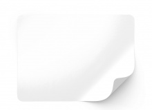 Blank labels on rolls